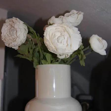 Casetta Lena Holiday home Ostuni